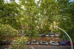 Great Apartment in great Location