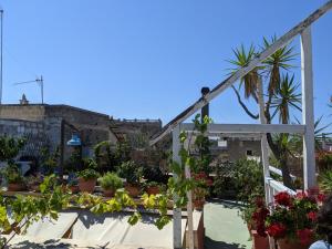 La Fenice - Splendore