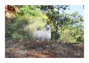 Villas Nid d’aigle panorama Luberon : photos des chambres