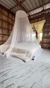 Chakerpor rice terrace