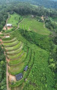 Chakerpor rice terrace