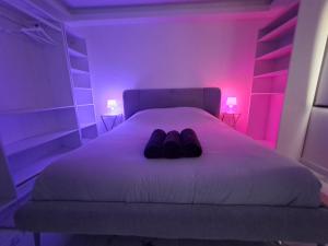 Appartements Studio spacieux Metro 14 Paris : photos des chambres