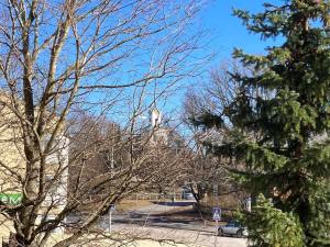 Ihastuttava yksiö loistopaikalla