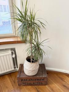 HAKANIEMI luxury apartment Helsinki center, 24h check in