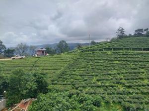 Laas Villa Vagamon