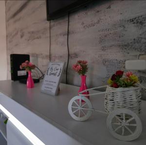 Apartment Center 23