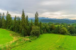 Niedźwiedzia Chatka