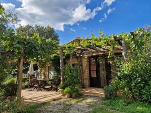 Olivo at Pietraie a cottage with many flowers in the Valley
