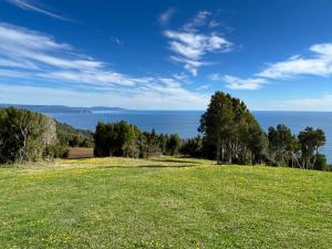 Moderna casa de campo con vista al mar a 20 minutos de Valdivia , Los Pellines