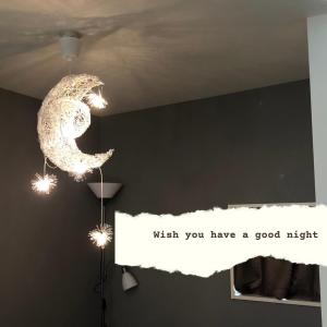 Jr 新大久保車站徒歩6分 新建獨棟洋房最大8人入住 電車9分直達涉谷