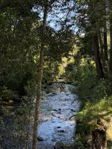 Beehouse Arví Cabaña