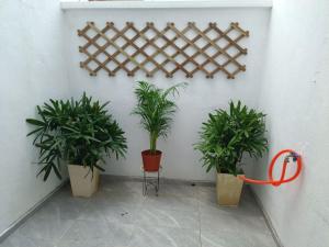 Homestay Anggerik 56 Saujana Utama