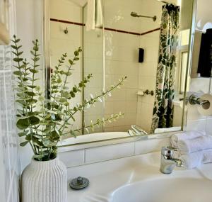 Montblu at Echo Point