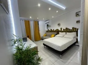 Studio spacieux en bord de mer - 萨莱比梅