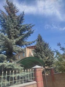 Green yard Guest house Barskoon