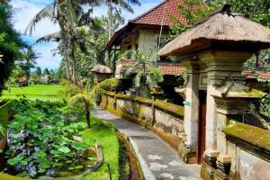 Dhara 1 BR Suite With Rice Field View ZN230
