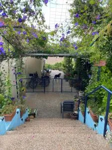 המקום של אמי Emmys Place - ‘Eyn-‘Ibrahim