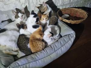 Traditional Guesthouse Marousio