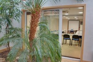 Hotels Kyriad Hotel Tours Centre : photos des chambres