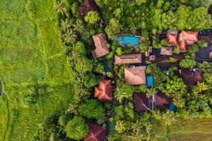 Dihya 1 BR Deluxe Garden Wooden ZN231