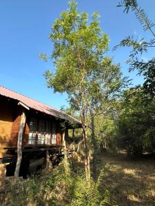 Athreya Ayurveda Ashram