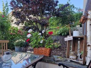 Ferienwohnung im Moseltal