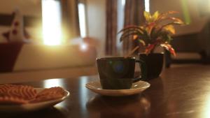 Hotel Mountview Comforts