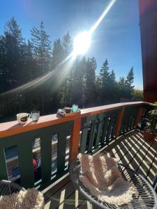 Apartment on the ski slope Pohorje 11 