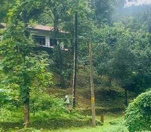 Plantation stay