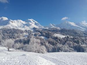 Chalets Chalet cabane pleine nature : photos des chambres