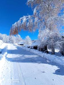 Chalets Chalet cabane pleine nature : photos des chambres