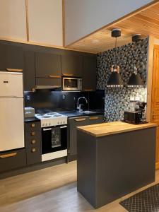 Levihuvila 16 with 1 ski pass