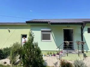 The Little Green House - Petrovec