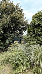 Countryside Cottage with bathtub landscape views by Familie Buitenhuys