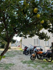 Villa Jadran Zadar free parking sea view