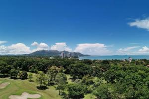 Apt in Coronado Golf & Ocean view