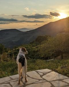 San Lorenzo Cottage - Παραδοσιακά Πέτρινα Δωμάτια - Άγιος Λαυρέντιος Πηλίου