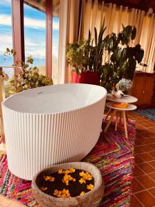 LasNubes EcolodgeNubes Ecolodge