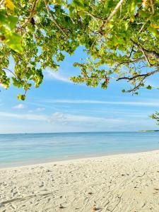 YUVi Blue Guesthouse at Himmafushi