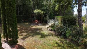 À l ombre des chênes