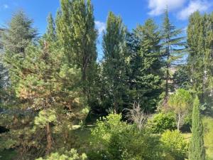 Charmant 2 pièces vue sur jardin