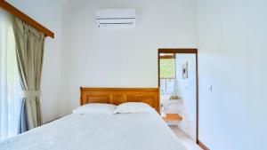 Casa Coki - Modern Villa Pool Steps From the Beach