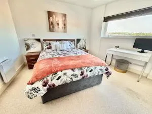 Meridian Tower with Marina view - The Mumbles