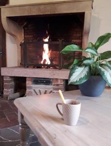 Grand gite Bressan 1h de nord Lyon