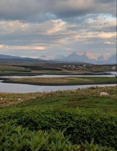 BluePigeons Pods Roag Dunvegan