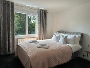 Beautiful Family Home for Rent in London