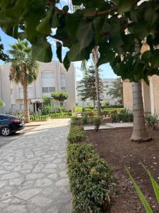 Luxury appartement Fes