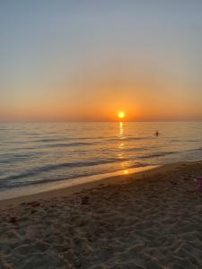 White houses luxury and pool