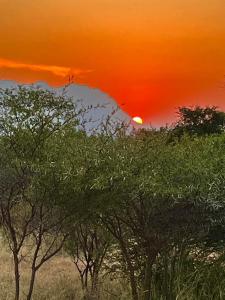 Timbila Game Lodge - Welcome to Land of Leopards and Buffalo