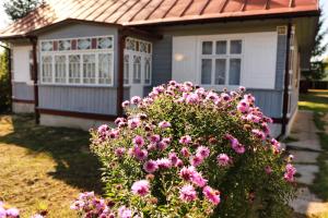 Dom na wsi u Kasi HAJNÓWKA BIAŁOWIEŻA NA WYŁĄCZNOŚĆ